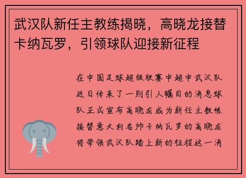 武汉队新任主教练揭晓，高晓龙接替卡纳瓦罗，引领球队迎接新征程